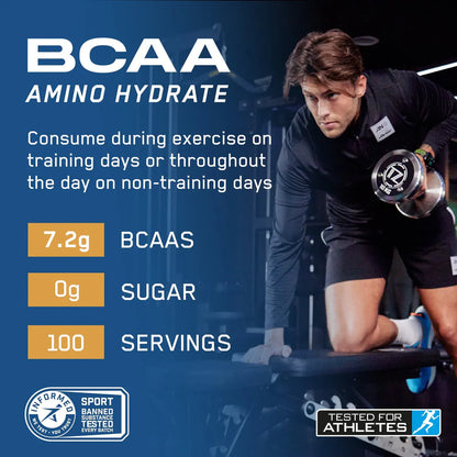 BCAA Amino Hydrate 450g
